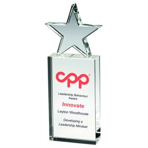 CLEAR GLASS BLOCK WITH GLASS STAR - Image 3