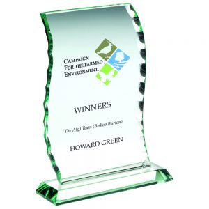 engraved trophy plates